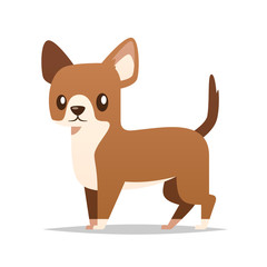 Obraz premium Cartoon chihuahua dog vector isolated illustration