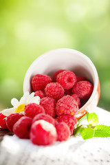Fresh raspberries in a cup on a wooden table in the garden. Summer and healthy food concept. Selective focus.