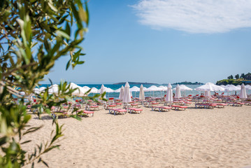 Fototapeta na wymiar Summer beach with deck chairs and umbrellas. 