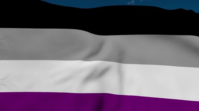 Asexual Pride Flag - Close-up, blowing in the wind.