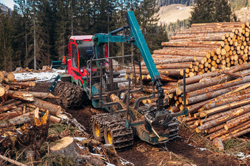 Fototapeta premium Woodcutter log truck tree harvester working in forest. Concept industry cut wood
