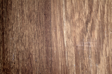 wooden texture of wood