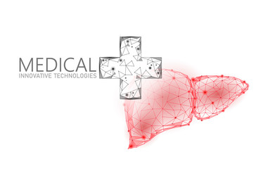 Medical cross symbol liver doctor online concept. Medical consultation app. Web healthcare diagnosis drugstore network banner. Delivery market background low poly vector