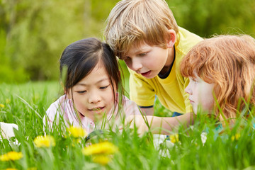 Drei Kinder auf einer Wiese mit einer Lupe