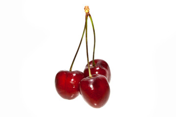 cherry isolated on white background