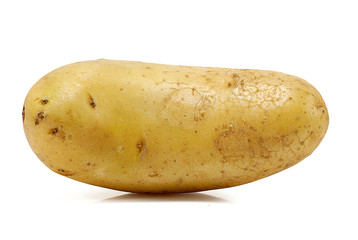 potato isolated on white background