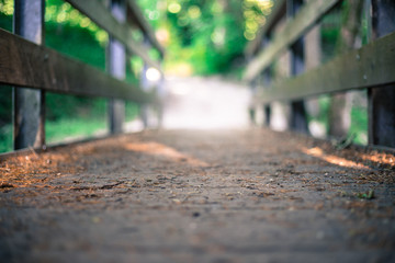 Adventures journey, self discovery: Wooden bridge in the forest, blurry background