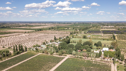 Obraz premium Aerial view from above of Vineyards in Mendoza, Argentina