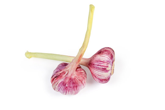 Young bulbs of the purple garlic on a white background