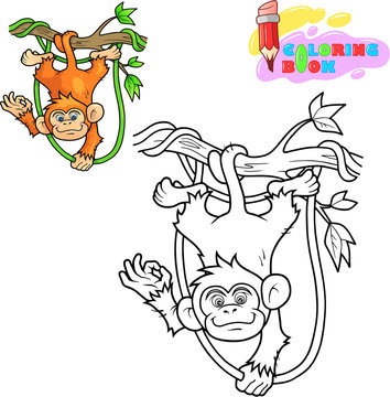 little cartoon cute monkey coloring book funny illustration