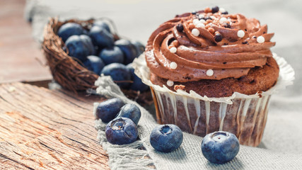 cupcakes with chocolate and butter cream on a wooden background with blueberries scattered