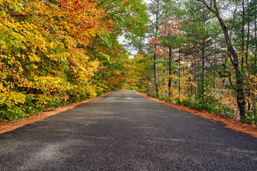 Swift River and old covered Albany Bridge at autumn in White Mountain National Forest, New Hampshire, USA. Fall in New England.
