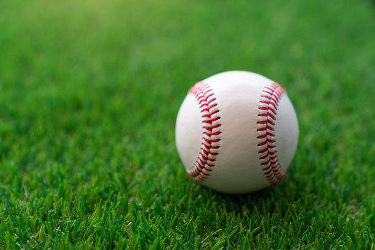 Baseball ball on the grass