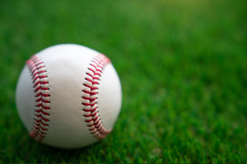 Baseball ball on the grass