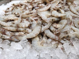 Selective focus of fresh prawns for sale in the fish market, seafood on ice, fresh shrimp seafood product, Too soft, space for your text