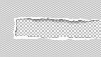 Ripped white squared paper with soft shadow is on squared background. Vector illustration