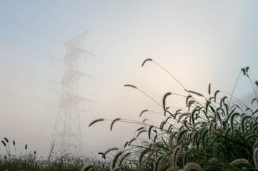 濃い朝霧が発生した田園地帯