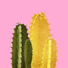Golden Cactus silhouette in the pink background
