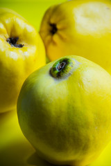 Stilleben mit 3 gelben Quitten