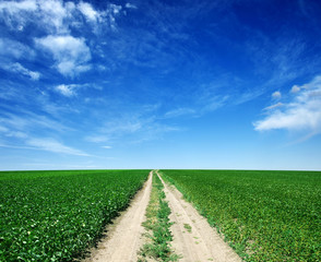 road in green field