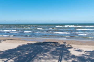 Windy day by Baltic sea, coast of Latvia.
