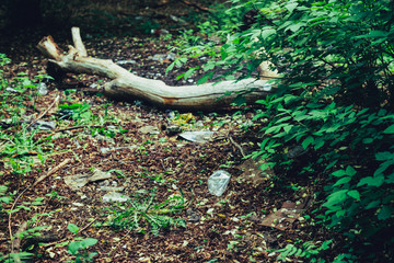Garbage pile in forest among plants. Toxic plastic into nature everywhere. Rubbish heap in park among vegetation. Contaminated soil. Environmental pollution. Ecological issue. Throw trash anywhere.