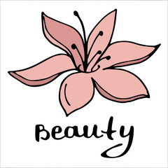 Nails design studio or manicure salon vector logo template. 