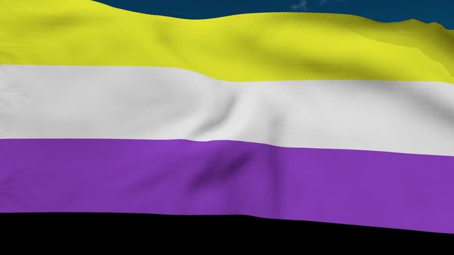 Non-binary pride flag flies in the wind