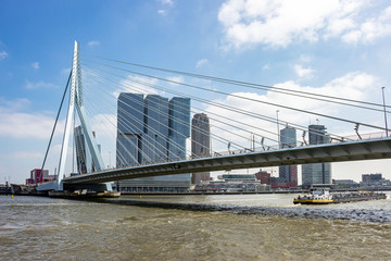 Fototapeta premium A cargo boat is just passing the erasmus bridge in Rotterdam