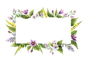 Watercolor hand vector painted frame with field flowers.