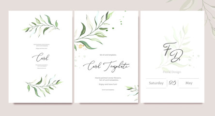 Set of card template with herbs, leaves.  Floral poster, invite. Vector decorative greeting card or invitation design background with watercolor