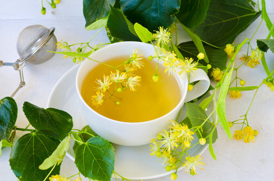 Alternative Medicine. Herbal Therapy. Lime blossom tea.