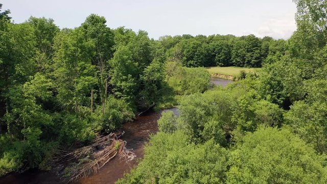 Aerial drone flies forward along a brown, tainted winding river in the middle of bright green trees. A downed tree lays across the river and the shoreline is full of dirt polluted with rust or iron