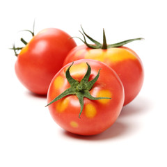 fresh tomato isolated on white background
