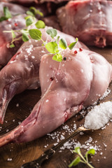 Raw rabbit legs salt pepper and herbs on butcher board