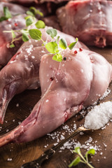 Fototapeta premium Raw rabbit legs salt pepper and herbs on butcher board