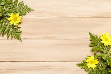 Green leaves of fern and yellow flowers on wooden surface