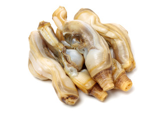 Razor clams isolated on white background.