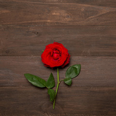 Bright red rose with green leaves on wooden surface