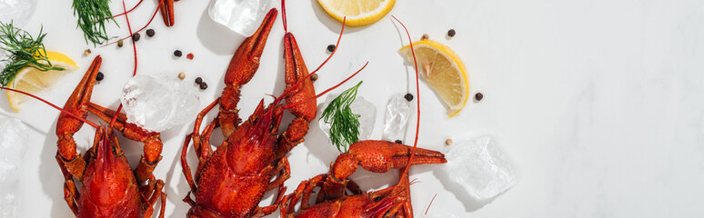 panoramic shot of red lobsters, peppers, lemon slices and green herbs with ice cubes on white background
