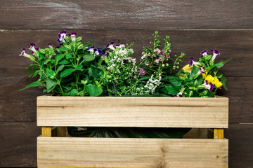 Wooden box with garden flowers