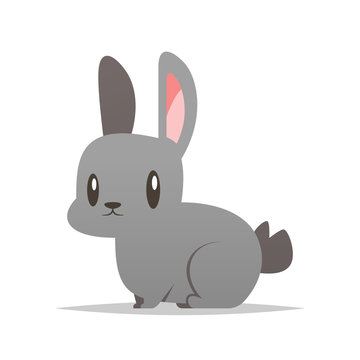 Cartoon rabbit vector isolated illustration