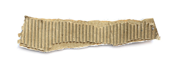 Piece of corrugated cardboard with torn paper edge on white background
