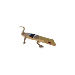 Lizard animal in cartoon style isolated on white background. Vector