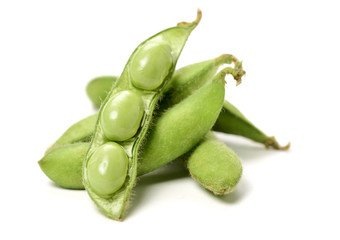 Fresh harvested soybean (edamame) plant isolated on white background