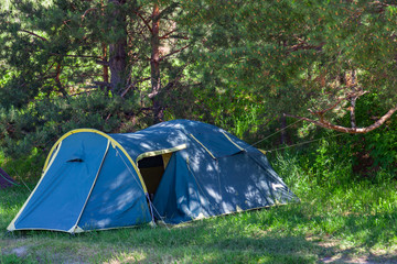 Tent camping in the shade of coniferous green trees on a sunny summer day. Extreme sports and outdoor recreation without people in the wilderness.