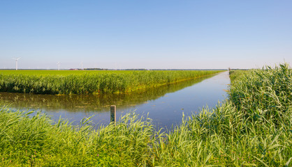 Fototapeta na wymiar Canal in a field below a blue sky in sunlight in summer