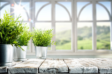 White wooden window with summer landscape and small green plant on white wooden table 
