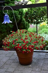 garden decorations with flowering plants on balconies and terraces