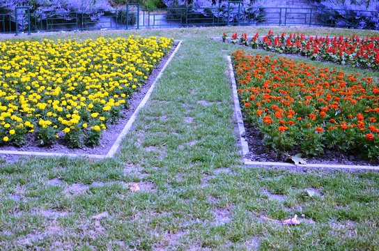 Molenbeek-Saint-Jean : Parterre de fleurs au square Machtens (Bruxelles-Belgique)